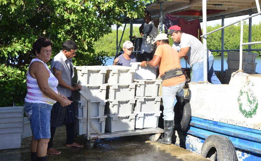 sancti spiritus, pesca, tunas de zaza