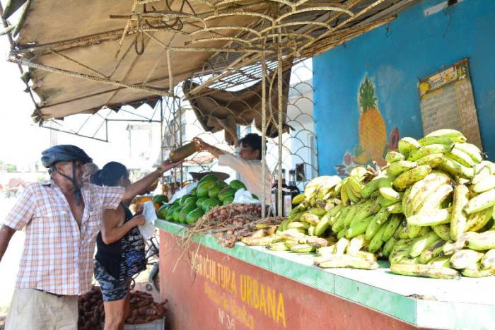 sancti spiritus, economia cubana, precios, alimentos precios, sector no estatal, trabajadores por cuenta propia, consejo de la administracion provincial