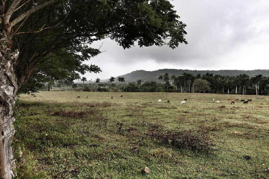 jatibonico, arroyo blanco, historia de cuba, serafin sanchez valdivia