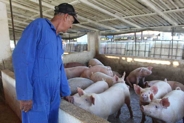 sancti spiritus, biodiversidad, bamburanao, especies endemicas