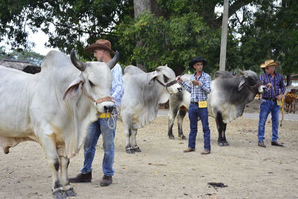 sancti spiritus, feria del cebu cubano