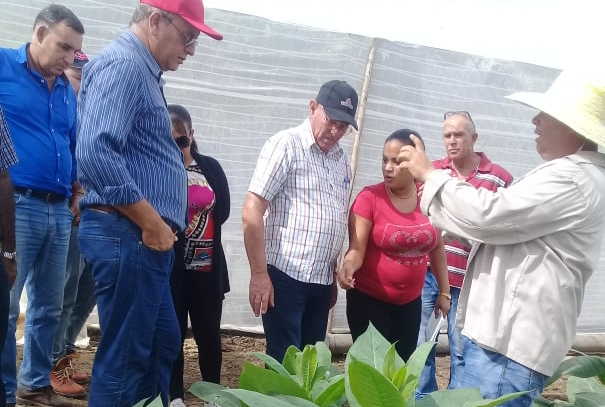 sancti spiritus, agricultura, tabaco tapado, cultivos varios, apicultura, planta de beneficio de miel