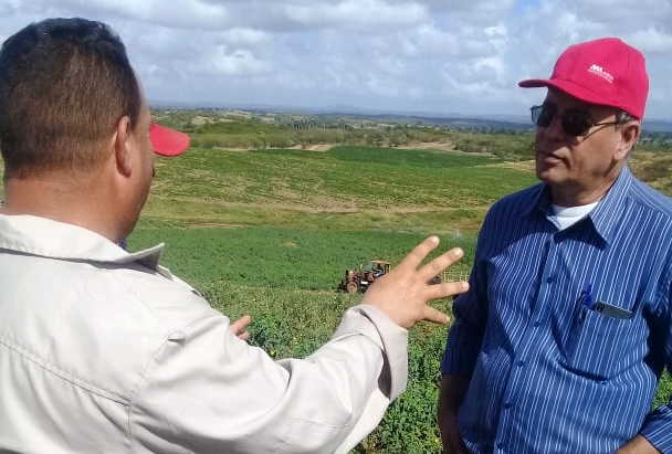 sancti spiritus, agricultura, tabaco tapado, cultivos varios, apicultura, planta de beneficio de miel