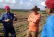 sancti spiritus, agricultura, tabaco tapado, cultivos varios, apicultura, planta de beneficio de miel