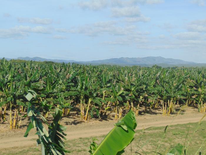 sancti spiritus, comunidades, reanimacion comunidades, fnta, trinidad, consultorio medico de la familia, recreacion, deporte, inder, platanos, productos agropecuarios