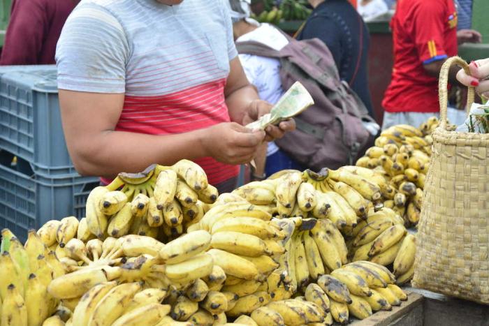 sancti spiritus, economia cubana, precios, alimentos precios, sector no estatal, trabajadores por cuenta propia, consejo de la administracion provincial