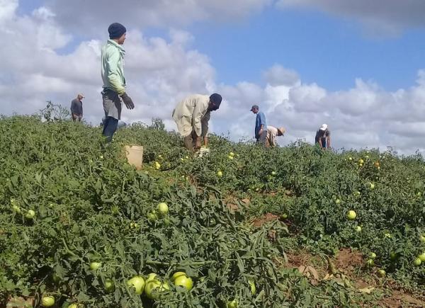 sancti spiritus, economia espirituana, produccion de alimentos, triunfo de la revolucion, ctc, central de trabajadores de cuba