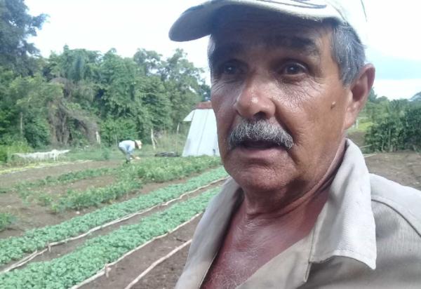 sancti spiritus, agricultura, rendimiento agricola, produccion de alimentos, cultivos varios