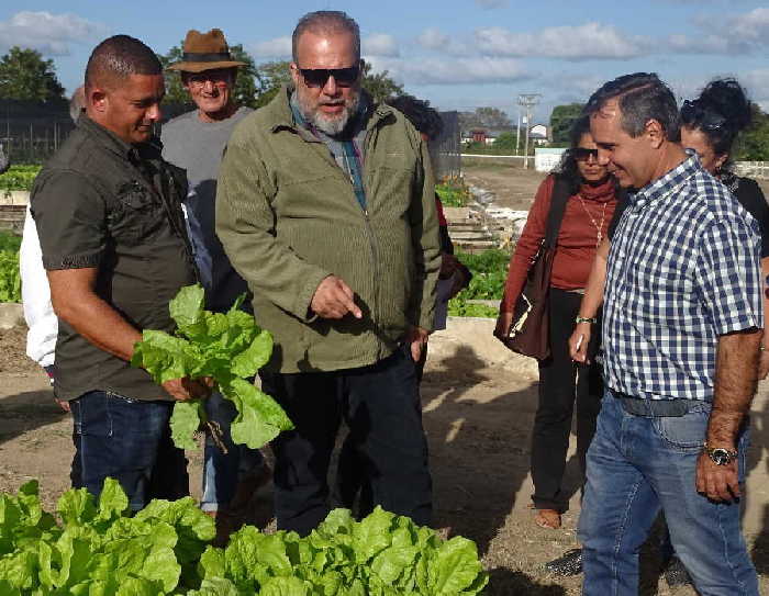 yaguajay, manuel marrero cruz, primer ministro, , producciones agricolas, materiales de la construccion, construccion de viviendas, agricultura urbana