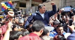 bolivia, mas, bolivia elecciones, luis arce, golpe de estado