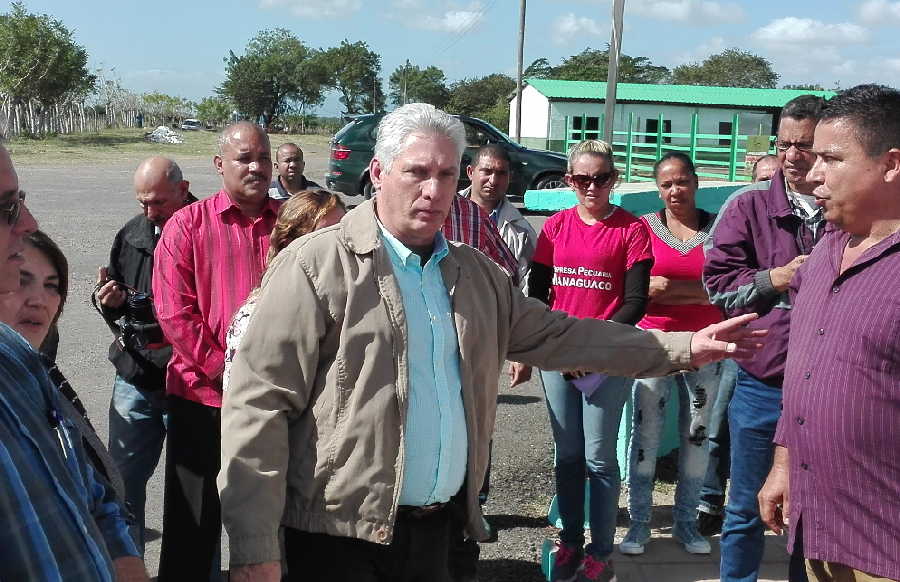 sancti spiritus, managuaco, empresa pecuaria managuaco, miguel diaz-canel, presidente de cuba en sancti spiritus