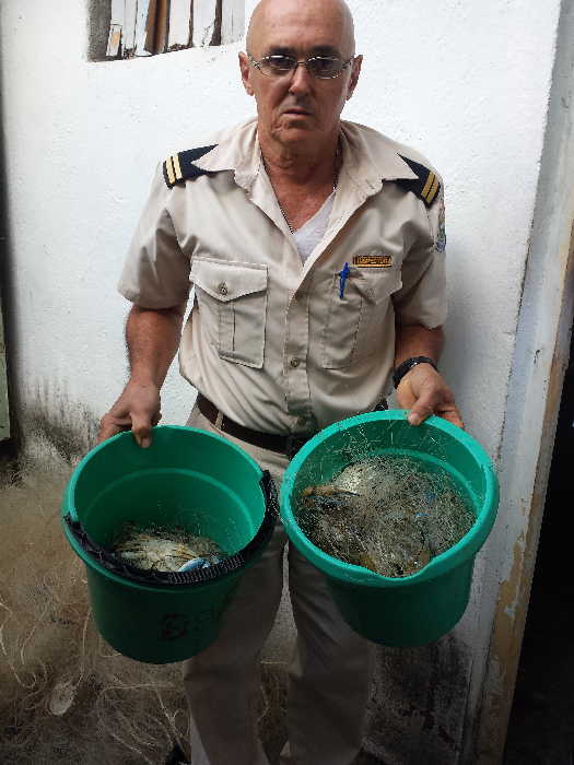 Inspectores oficiales de Sancti Spíritus realizan operativos para tratar de frenar la impunidad de los pescadores furtivos.