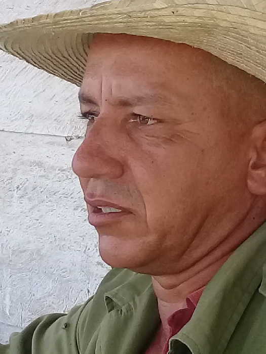 cabaiguan, cpa, campesinos, ganado vacuno, cooperativa de produccion agropecuaria