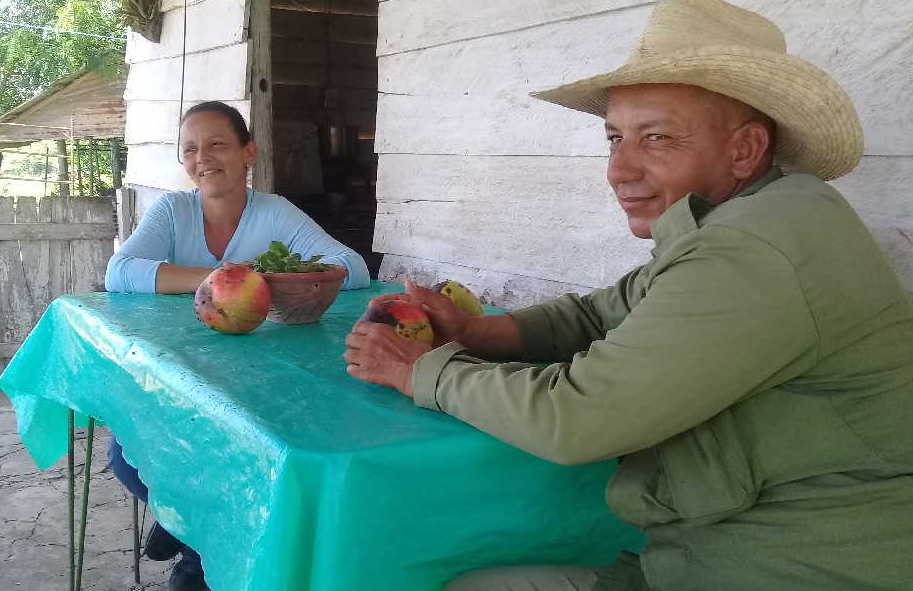 cabaiguan, cpa, campesinos, ganado vacuno, cooperativa de produccion agropecuaria