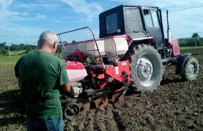 sancti spiritus, ciencia y tecnica, maiz hibrido, jarahueca, cigb