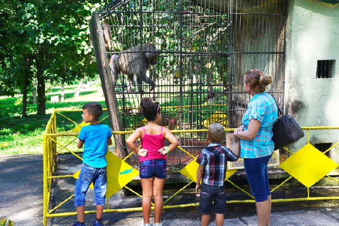 sancti spiritus, zoologico espirituano, el bosque