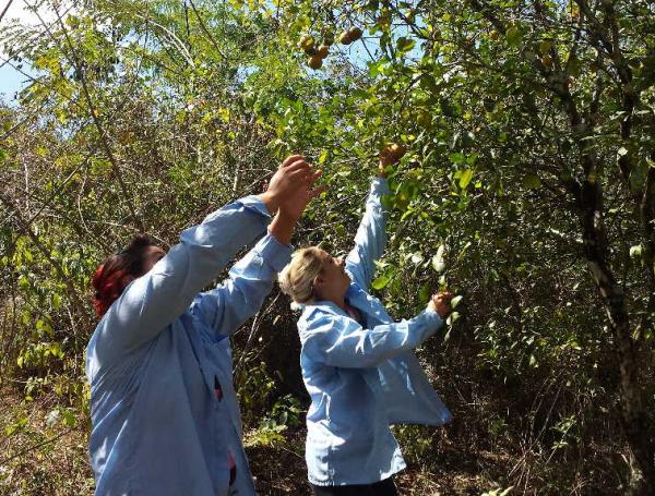 sancti spiritus, flora y fauna, mujeres, dia internacional de la mujer