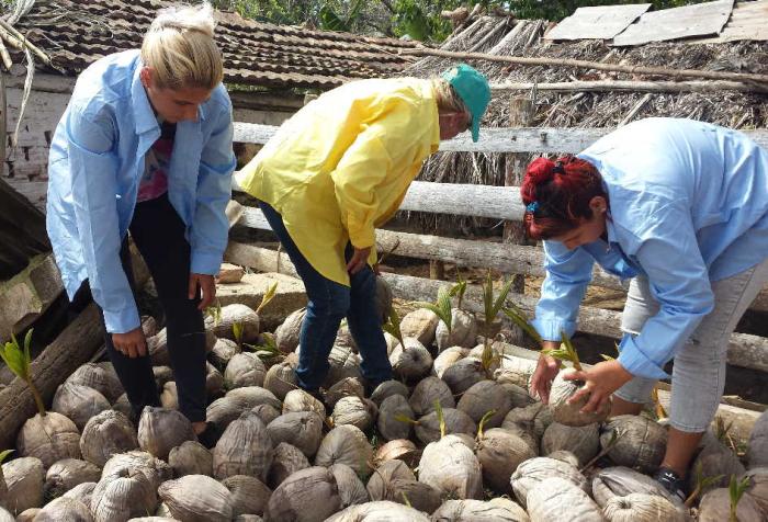 sancti spiritus, flora y fauna, mujeres, dia internacional de la mujer