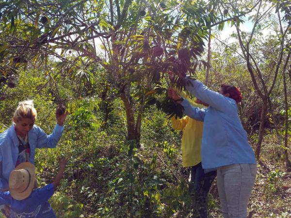 sancti spiritus, flora y fauna, mujeres, dia internacional de la mujer