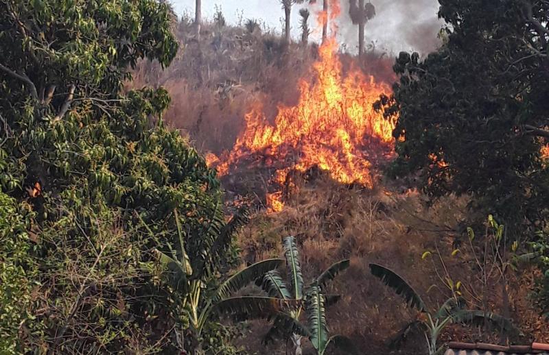 cuba, incendios forestales, guardabosques