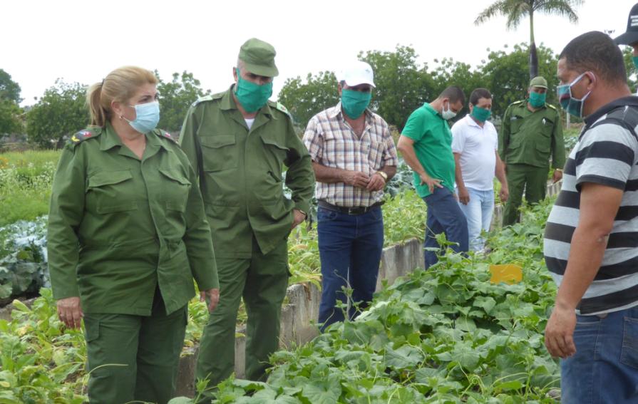 sancti spiritus, coronavirus, covid-19, consejo de defensa, produccion de alimentos, salud publica