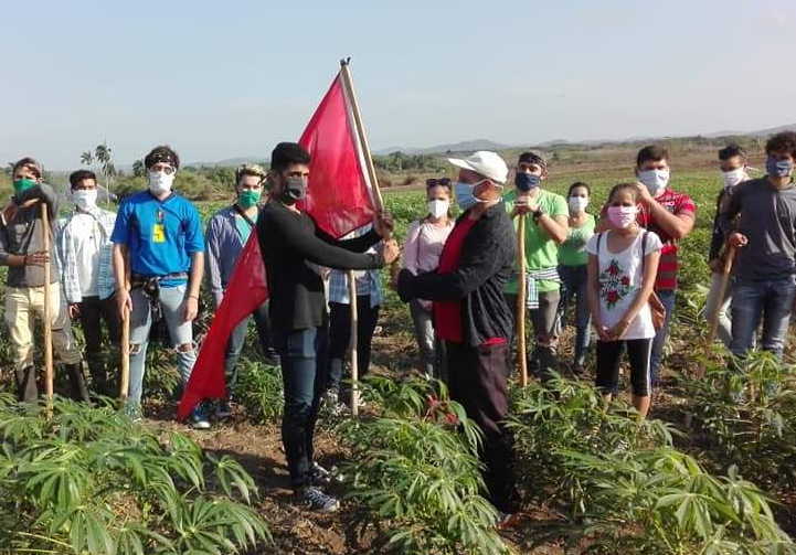 sancti spiritus, ujc, coronavirus, covid-19, produccion de alimentos