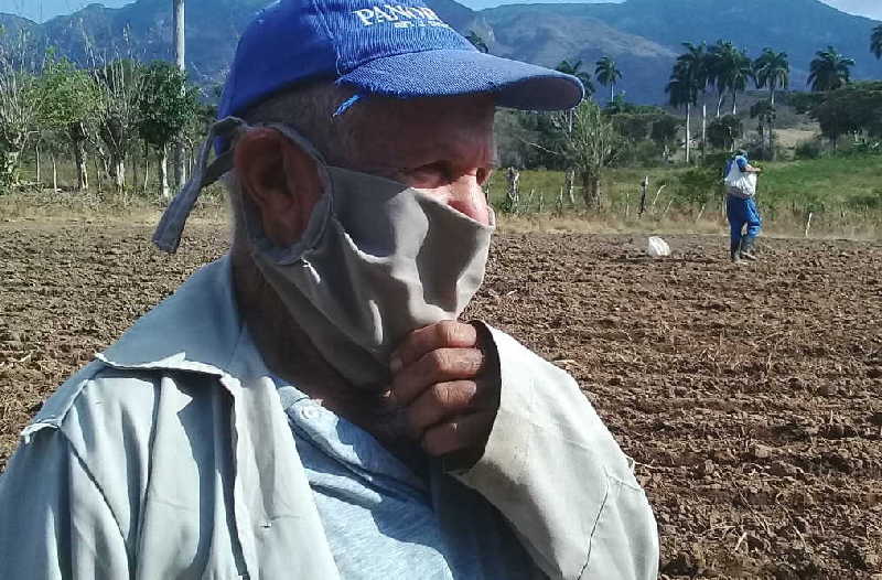 sancti spiritus, agricultura, banao, produccion de alimentos, coronavirus, covid-19