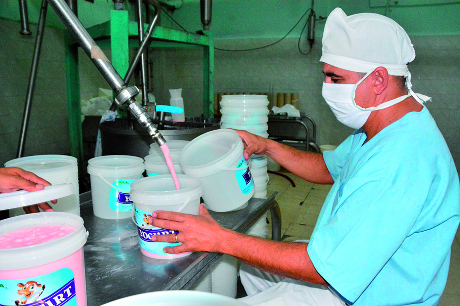Se mantiene la producción de yogur con destino a la venta liberada en los Mercados Ideal de la provincia. (Foto: Vicente Brito)