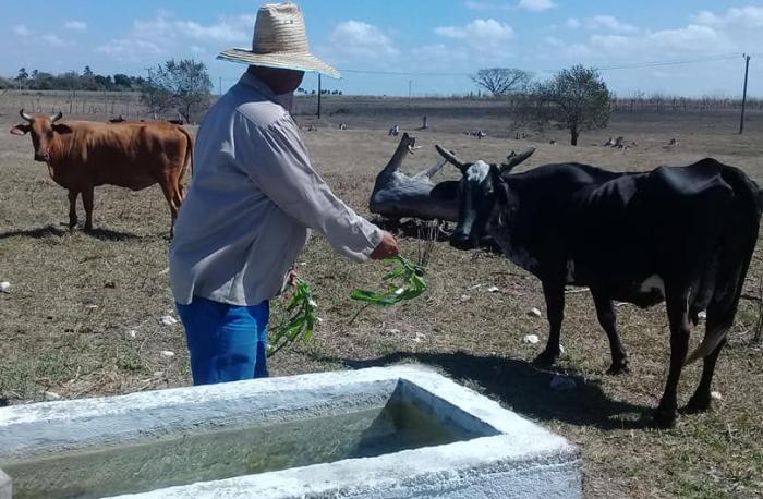 sancti spiritus, sequia, meteorologia, centro meteorologico provincial, calor