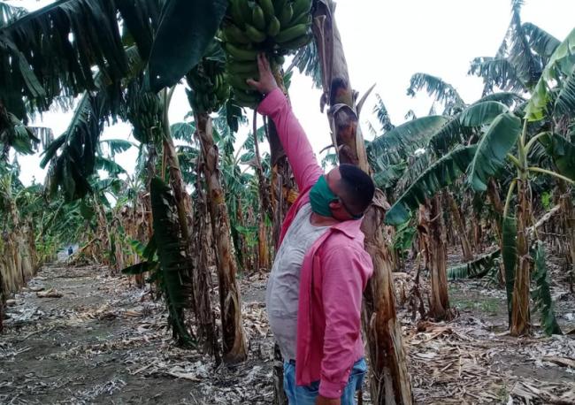 sancti spiritus, dia del campesino, campesinos espirituanos, agricultura, produccion de alimentos