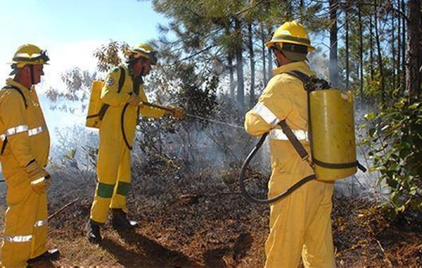 cuba, incendios forestales, desastres naturales, medio ambiente, guardabosques