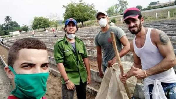 Momentos del trabajo, junto a otros jóvenes universitarios, en el organopónico Celia Sánchez, de la ciudad cabecera. 