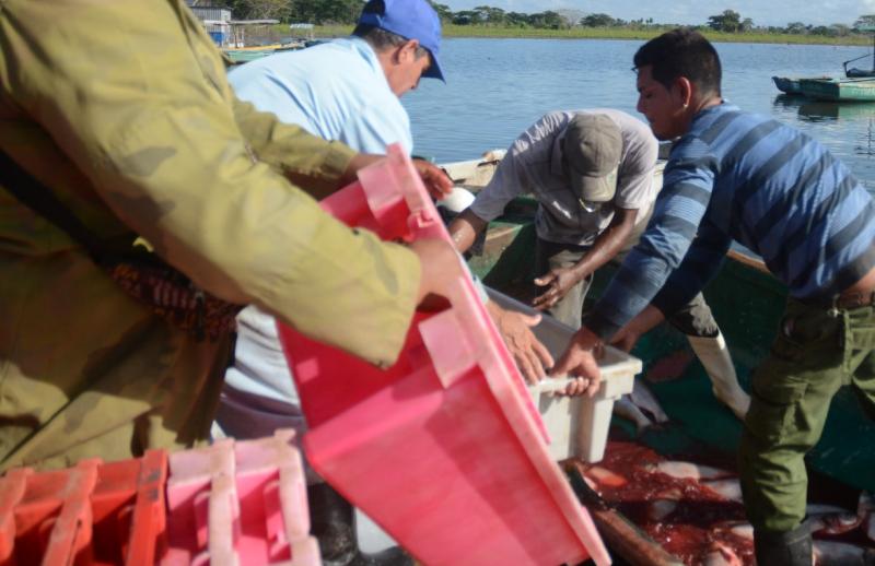 ssancti spiritus, presa zaza, pesca, lluvias, acuicultura, pesca, coronavirus, covid-19