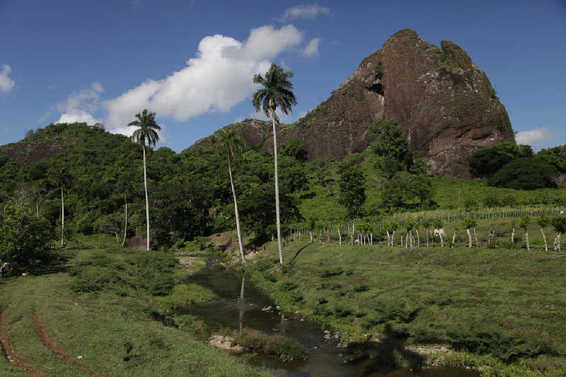 sancti spiritus, dia mundial del medio ambiente, medio ambiente, biodiversidad, cambio climatico