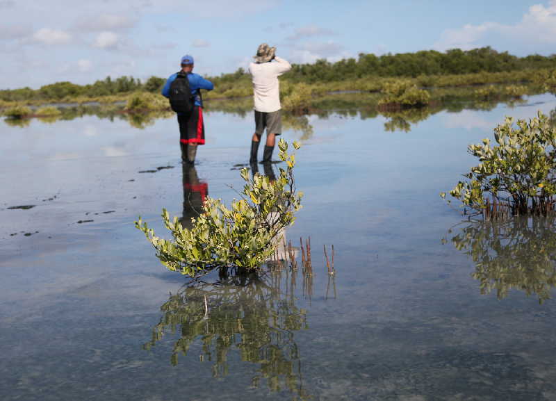 sancti spiritus, dia mundial del medio ambiente, medio ambiente, biodiversidad, cambio climatico