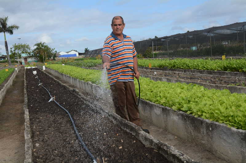 sancti spiritus, dia mundial del medio ambiente, medio ambiente, biodiversidad, cambio climatico