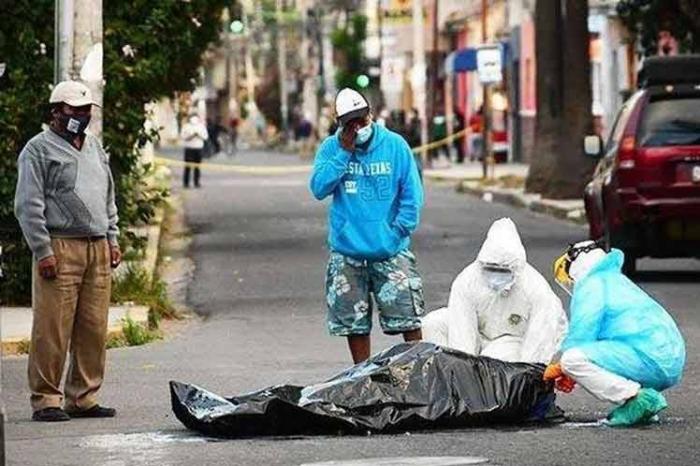 bolivia, covid-19, pandemia mundial, muertes