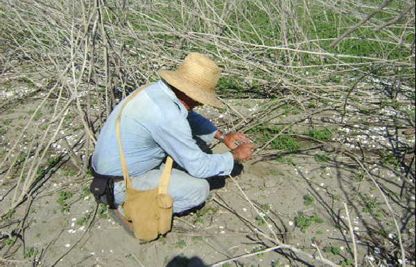 sancti spiritus, presa zaza, hallazgos arqueologico, arqueologia, oficina del conservador