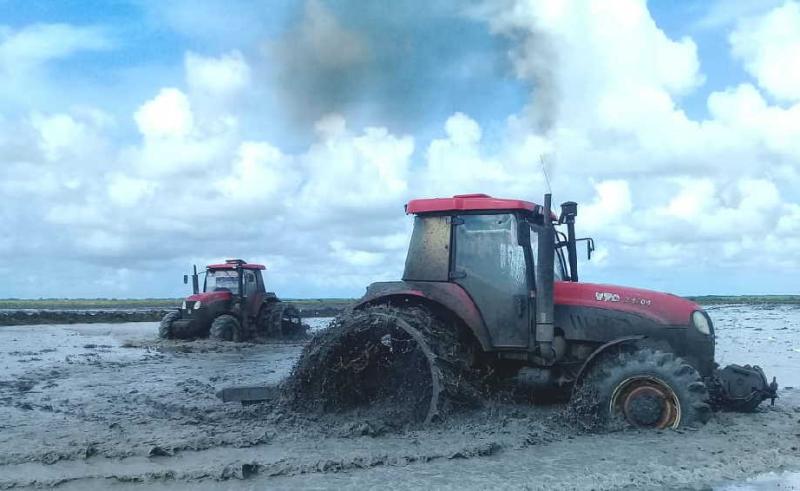 sancti spiritus, arrocera sur del jibaro, cosecha de arroz, la sierpe