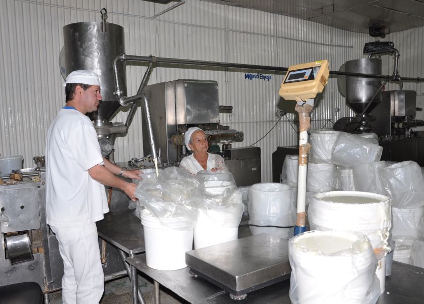 La Industria Láctea cumple la mayoría de los surtidos que dependen de la leche de vaca. (Foto: Vicente Brito/ Escambray)