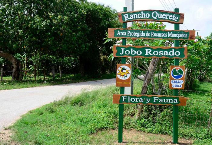 sancti spiritus, flora y fauna, verano, etapa estival, rancho querete, yaguajay