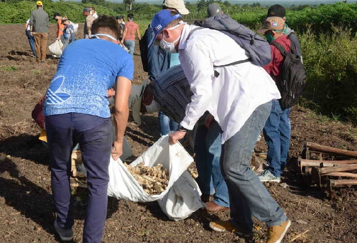 sancti spiritus, ctc, produccion de alimentos, contruccion de viviendas, aedes aegypti, capñala antivectorial