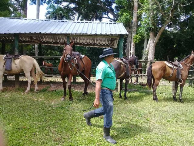 sancti spiritus, flora y fauna, verano, etapa estival, rancho querete, yaguajay