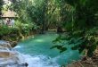 Flora y Fauna, turismo, naturaleza, Rancho Querete