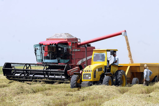 El Programa incluye un monto de inversiones de 889,5 millones  de dólares de presupuesto total para su ejecución. (Foto: GrupoAgricoladeCuba)