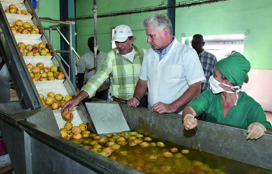 la sierpe, sur del jibaro, empresa agroindustrial de granos sur del jibaro, arrocera, exportaciones