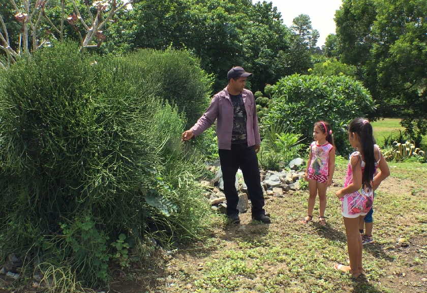 Los recorridos pueden ser guiados y constituyen una oportunidad para el aprendizaje de los niños. (Fotos: Yoan Pérez / Escambray)