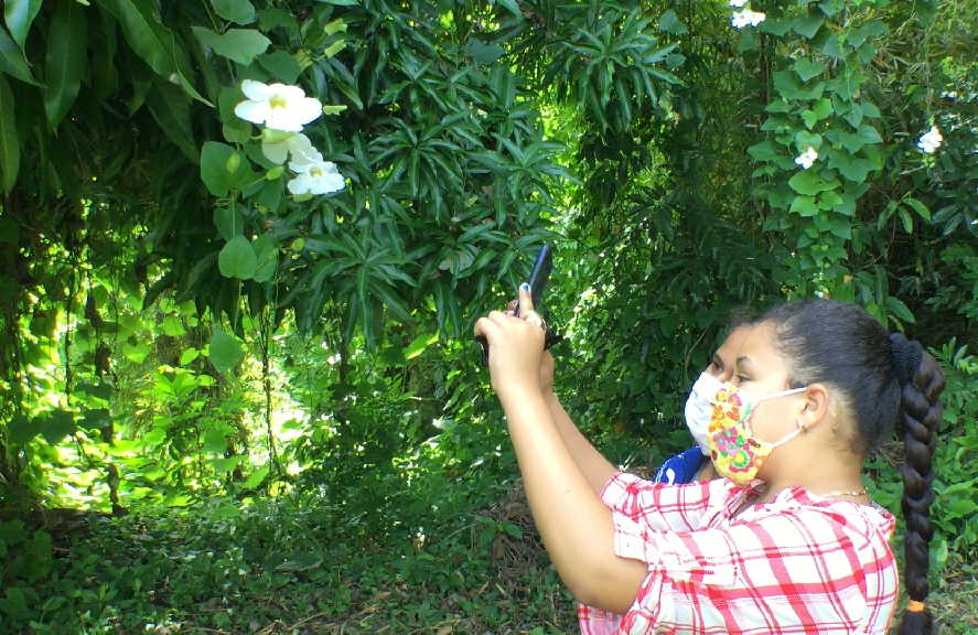 Jardín Botánico, Sancti Spíritus