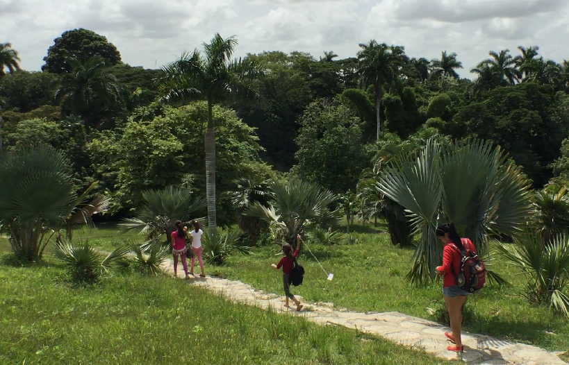 El Jardín Botánico de Sancti Spíritus atesora más de 800 especies vegetales.