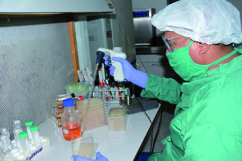 sancti spiritus, centro de ingenieria genetica y biotecnologia, cigb, covid-19, coronavirus, salud publica, heberprot-p